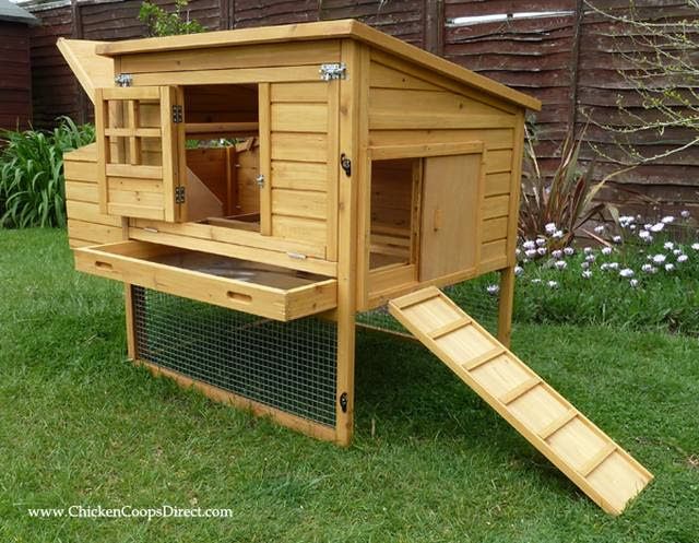 Raised Chicken Coop for 6 Hens – Dorset Poultry House Reviewed