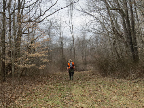 hiker on a wide trail