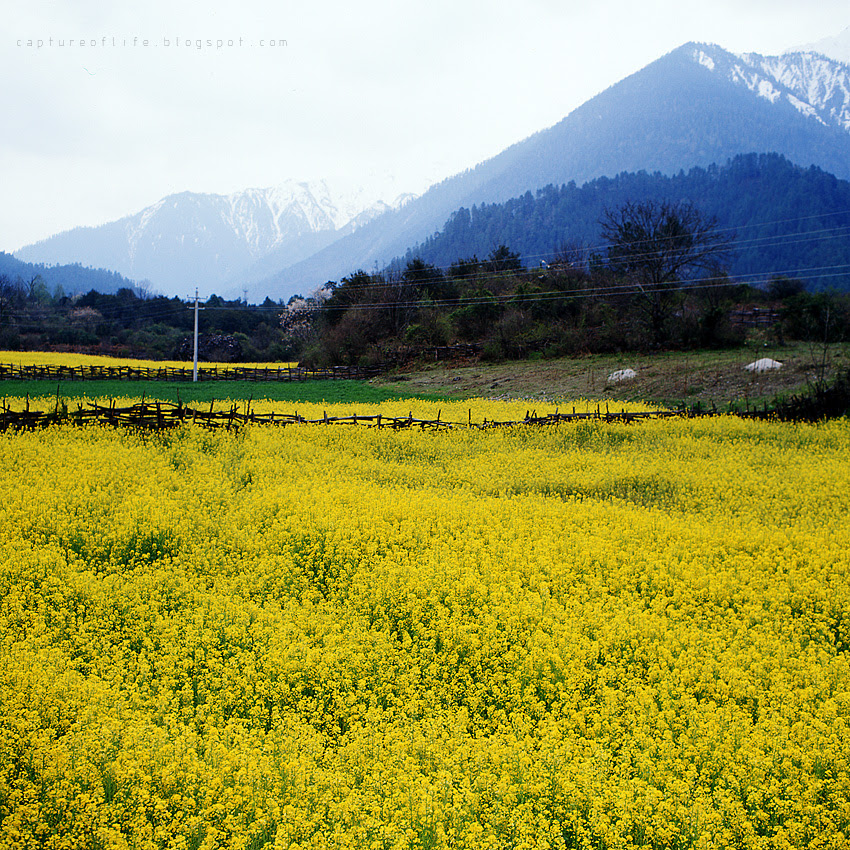 Trip to Tibet