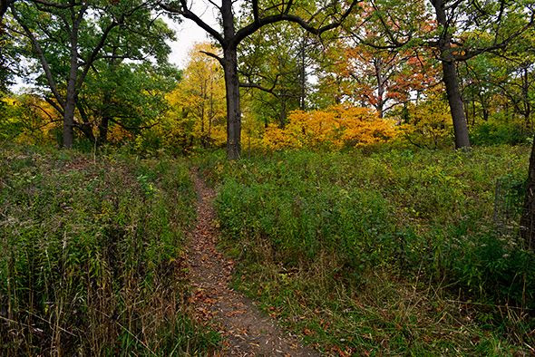 high park fall colours