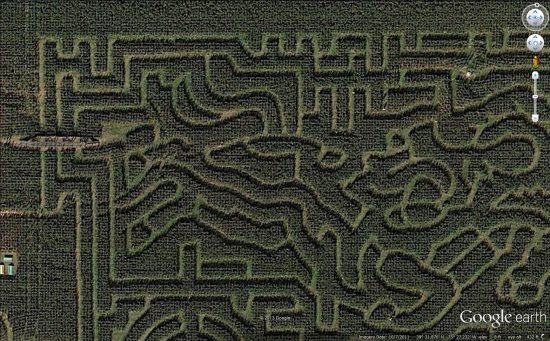 corn-maze.jpg