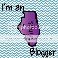 Illinois blogger photo illinoispic.jpg
