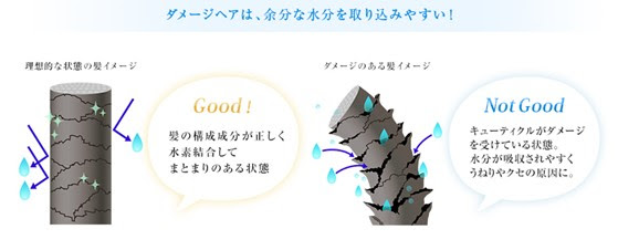 縮れ毛やくせ毛の原因は加齢だけじゃない 綺麗な髪の毛を取り戻すために出来ること 美髪ラボ 白髪染め カラートリートメント総合サイト リカラ