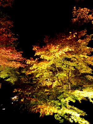 嵐山の紅葉