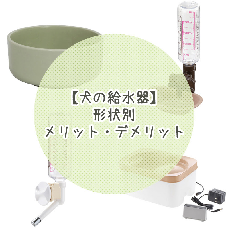 犬の給水器 水飲み 形状別メリット デメリット 犬の給水器と給水皿の違いは