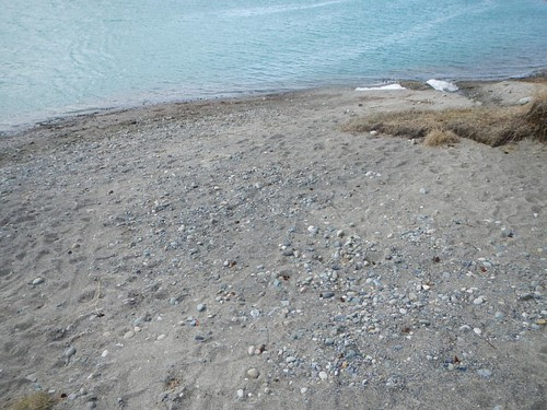 Everyday for 7 Weeks - Day 12 - Watson Lake to Whitehorse