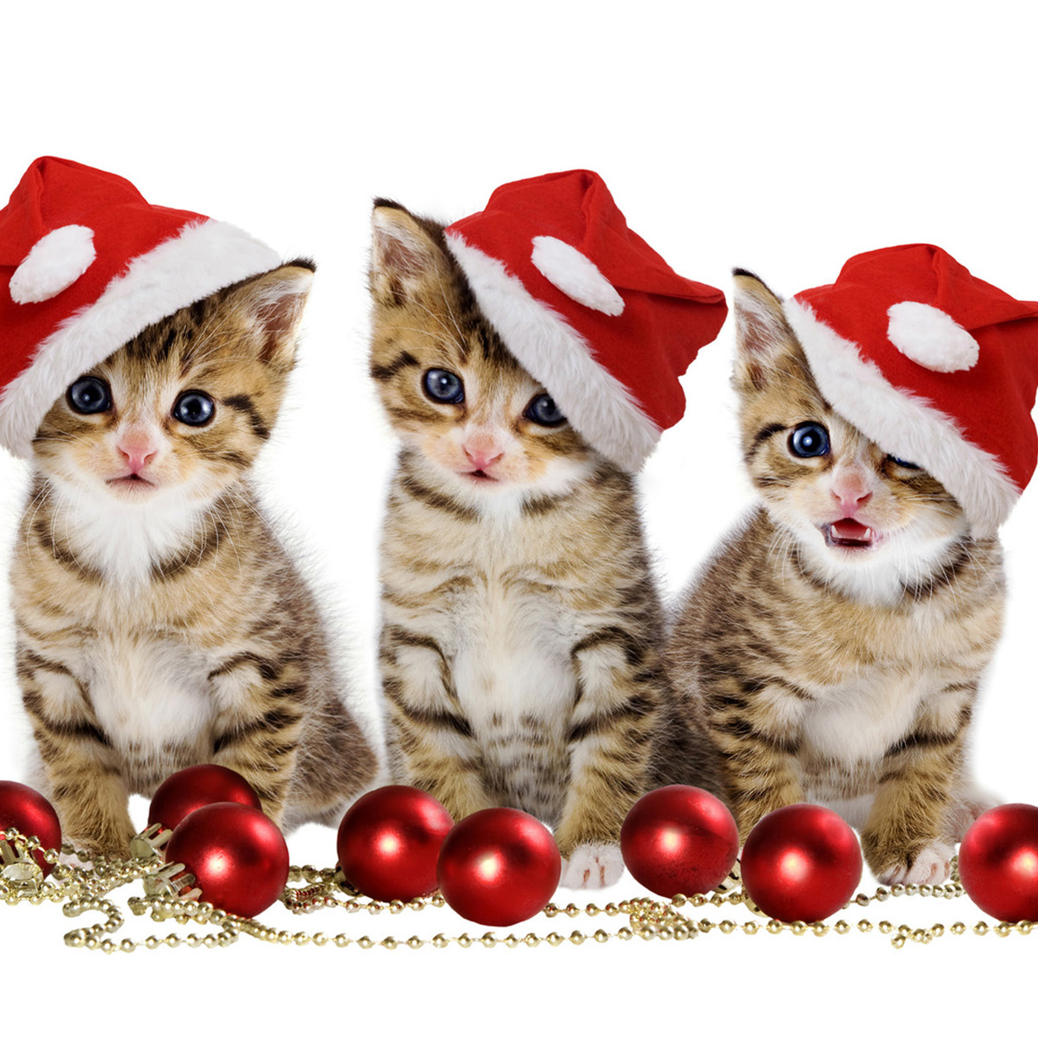 Cute Christmas Wallpapers For Ipad