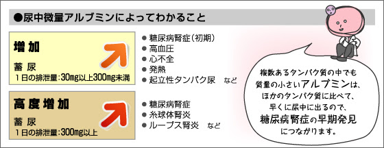 腎臓 石灰化