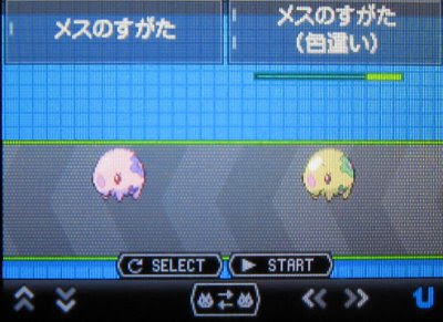 テトのひだまり日記 色違いムンナ