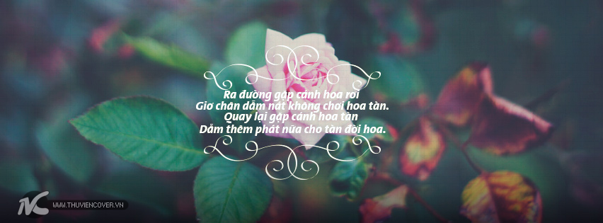 Ảnh bìa facebook về cuộc sống,tình yêu và hài hước