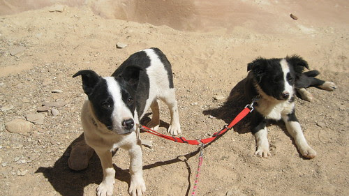 03.27.10 Little Wild Horse Canyon