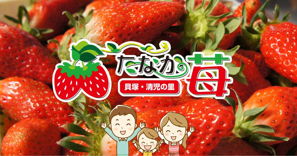 たなかの苺 いちご 大阪泉州貝塚市のイチゴ狩り