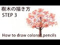 【印刷可能】 紅葉 木 イラスト 708411