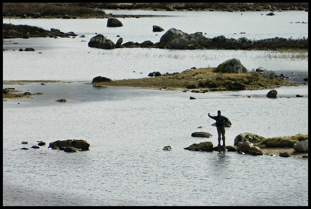 ardurmurchan 2012 2484