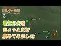 [最も共有された！ √] ゼルダ 矢 集め方 314704-ゼルダ 矢 集め方