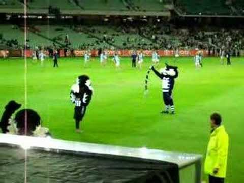 afl gold coast suns mascot. Tasar#39;s footage of the Mascots
