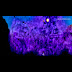 Sasuke Susanoo Skeleton - Susano'o (NARUTO) - Zerochan Anime Image Board : Maybe you would like to learn more about one of these?