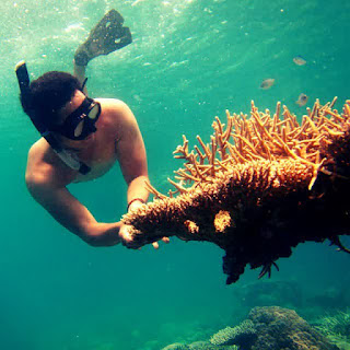Spot Nyamplungan