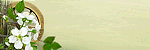 Image hébergée par servimg.com