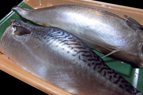ブラクリ釣り 餌 おすすめは 意外な で釣れちゃ 爆釣 Red Wave