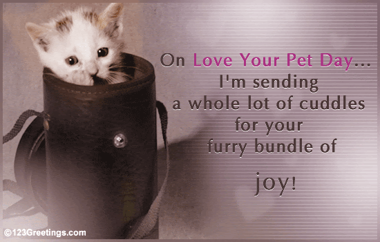 Whole Lot Of Cuddles! Free Love Your Pet Day eCards, Greeting Cards