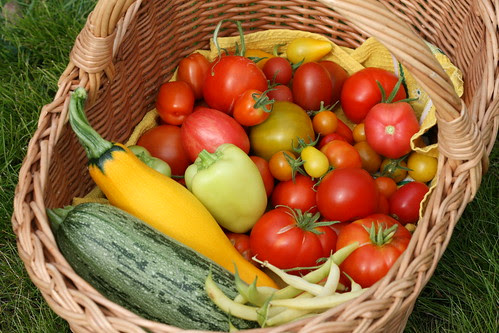 We went to see friends and brought along some vegetables from our garden / Läksime sõpradele külla oma aiast korjatud külakostiga
