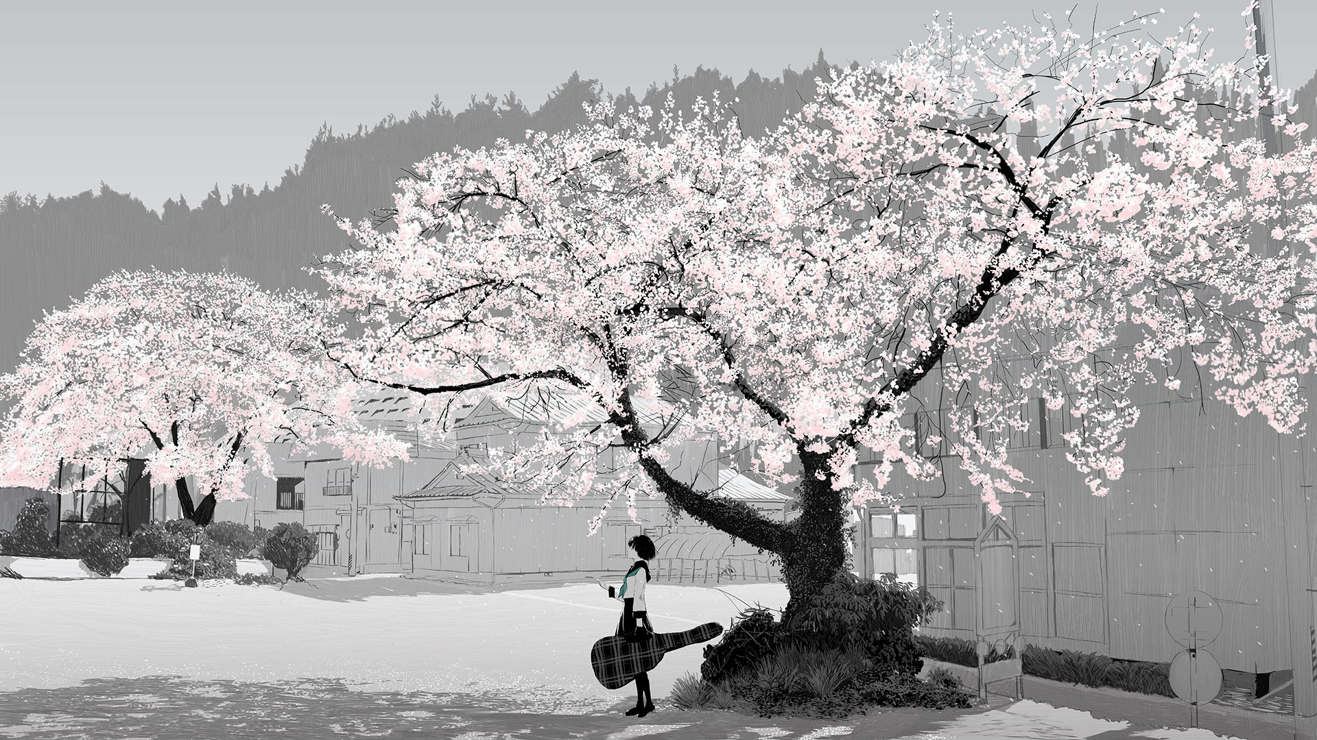 Anime Cherry Blossom Wallpaper (72+ images)