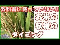 コレクション 稲 画像 422467-稲 苗 病気 画像