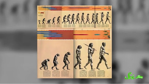 教科書のウソ 人類の進化を表す あの図 は間違いだった ログミーbiz