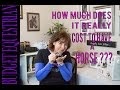 How Much Does 1 Bitcoin Cost To Buy? - What Happens When Bitcoin Goes Below the Cost of ... / We used 50779.60 international currency exchange rate.