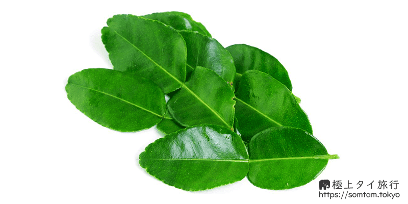 タイ料理食材図鑑 No 001 バイマックルー コブミカンの葉 タイ料理と時々タイの事