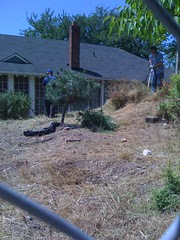 gardeners2