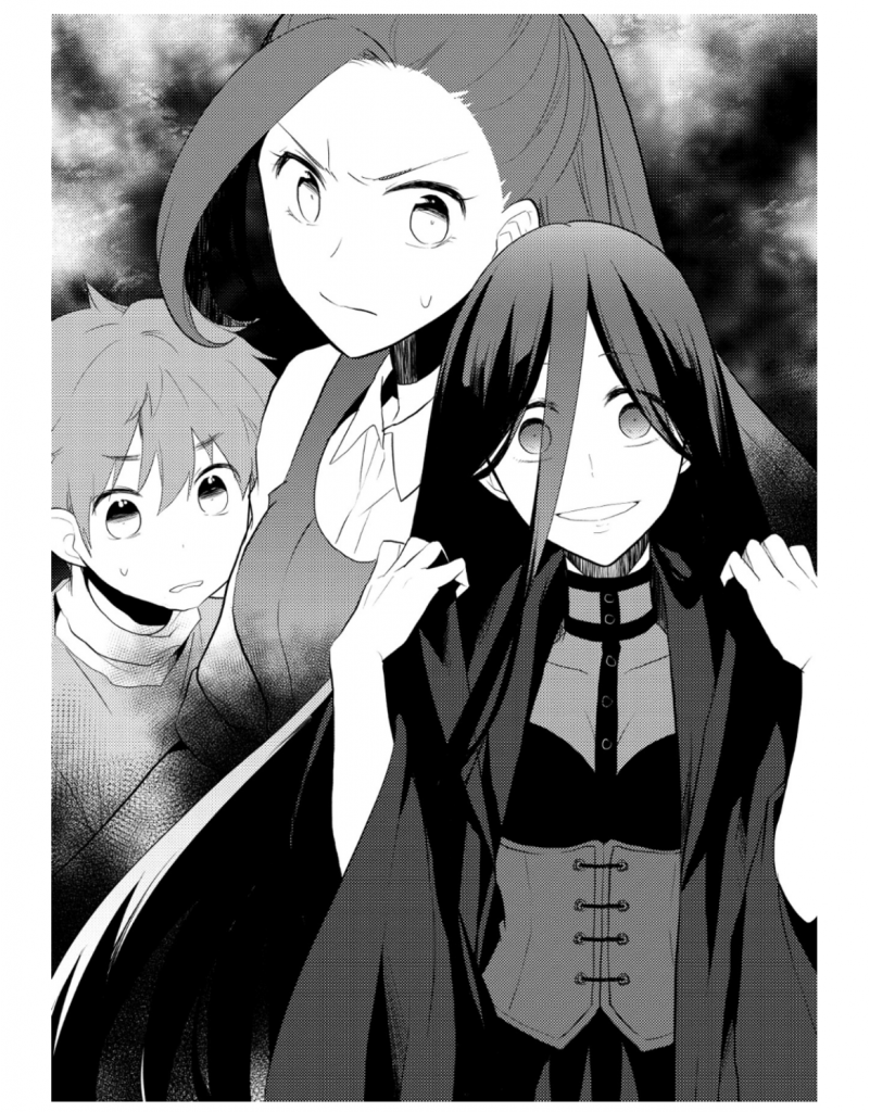 はめふら 原作小説 第10巻 てぃこんち