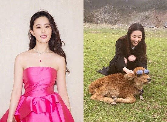 ▲劉亦菲氣質空靈，有著「仙女姐姐」的封號。（圖／翻攝自劉亦菲微博）