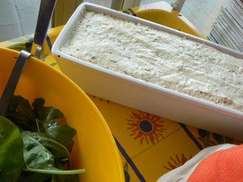 terrine.jpg