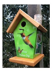 15+ Hummingbird Bird House Plans