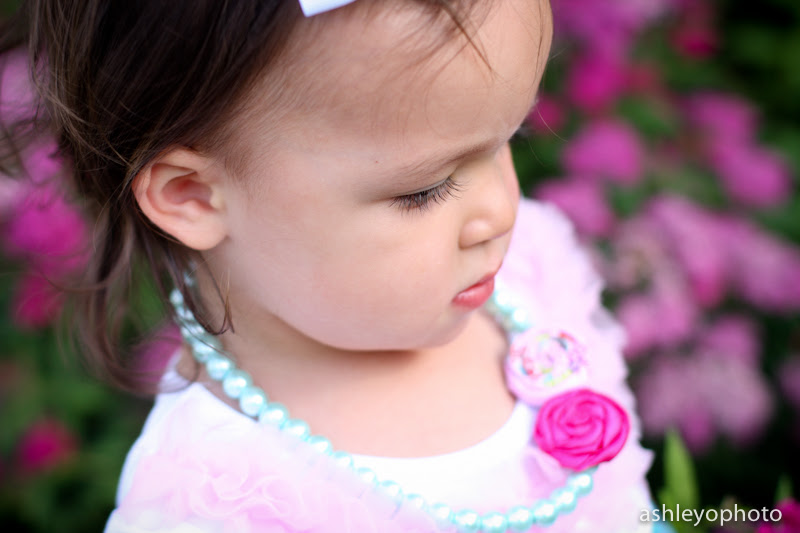 Stella2YBlog-2