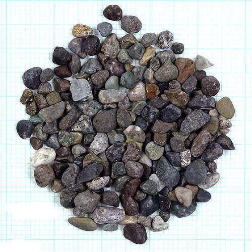 メダカの屋外飼育の底砂は大磯砂が絶対にいい理由 メダカの飼育 Com メダカの飼育情報が満載