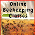 Beekeeping For Beginners Courses