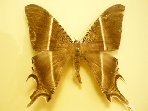 P1440342