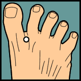 Diagram 31