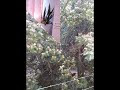 2- х комнатная квартира в Алуште