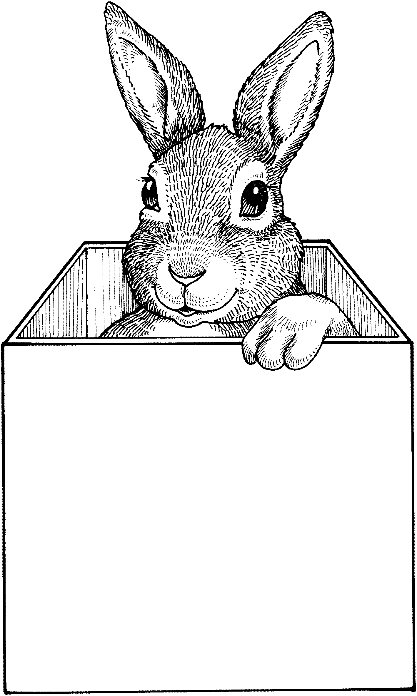 Simply white mailing labels