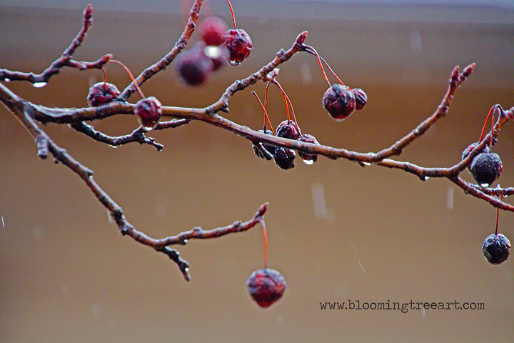 IMG_3312-1 copy