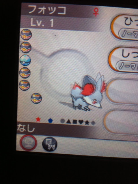 色違いに釘付け フォッコ Xy 雑談