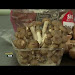 Best Vegetable Potjie Recipe Download Youtube Videos Mp3 and Mp4