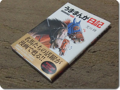 うままんが日記 感想 穴狙い 南関東競馬予想のうまぽっと