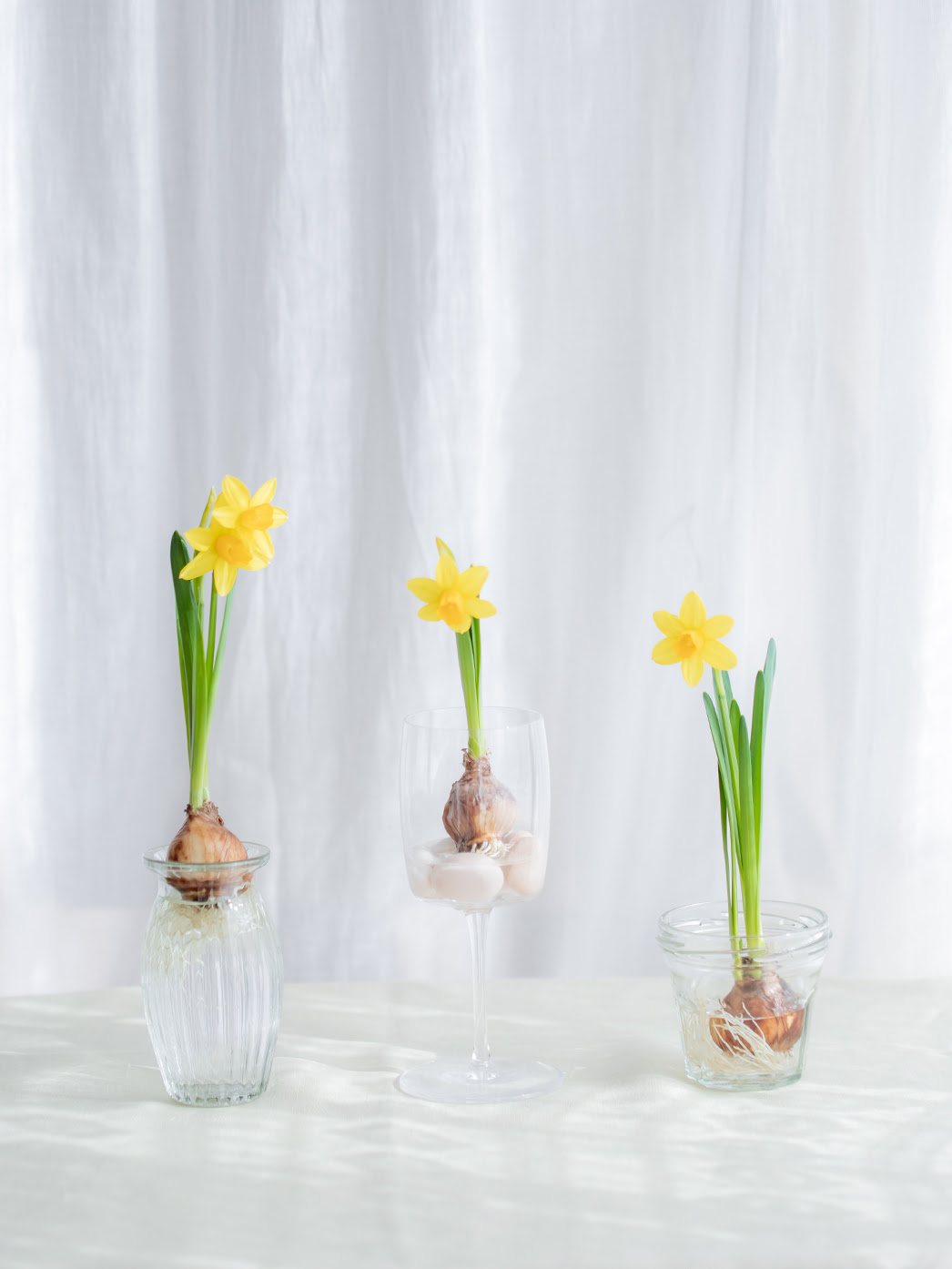 1月の花 ミニ水仙 ティタティタ 季節のブーケプレゼント