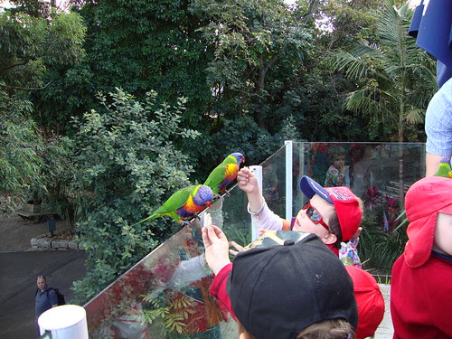 DSC00886