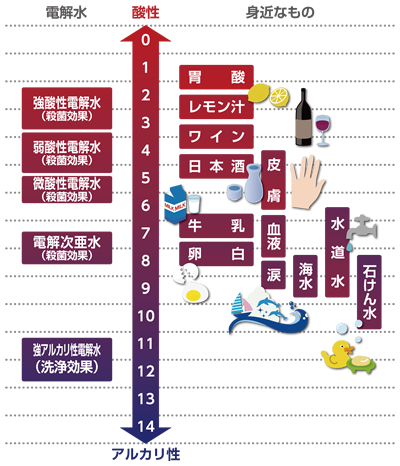 電解水の位置付け 三浦電子 殺菌性電解水のパイオニア